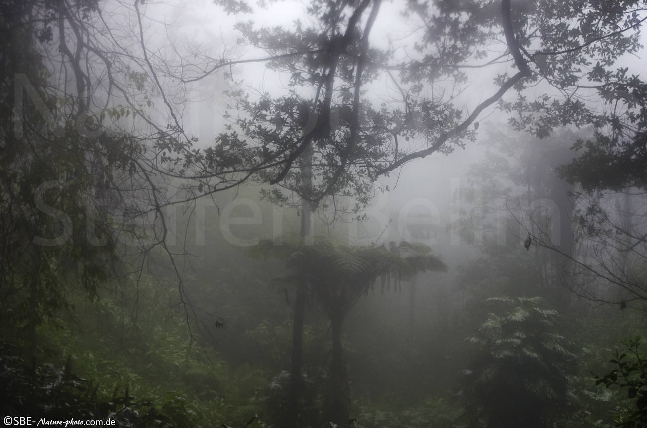 _IGP5657